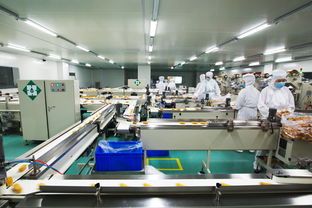 福娃六廠二期項(xiàng)目倉(cāng)儲(chǔ)擔(dān)保方案解析